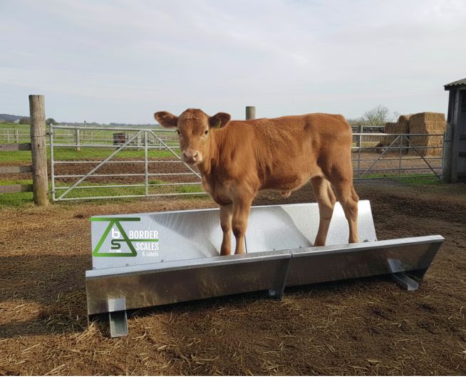 LS4 Livestock Standard