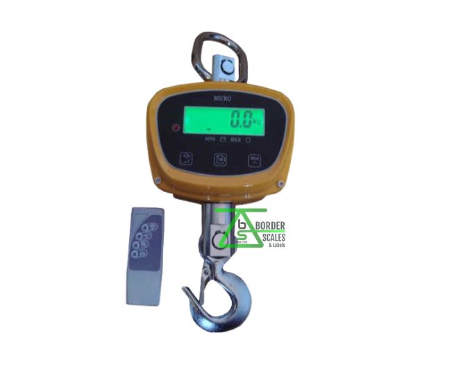 Micro CS2T Crane Scale