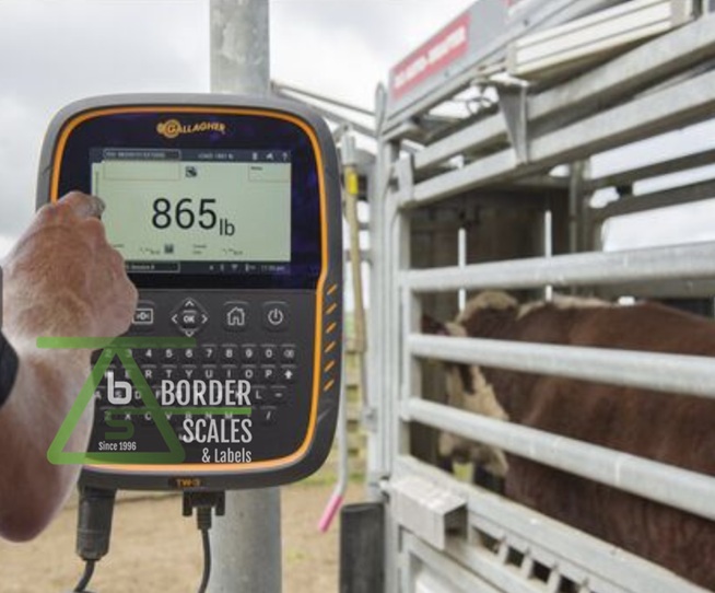 Livestock Scale -Gallagher - TW-3