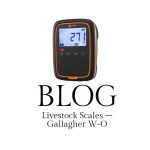Blog Gallagher W-O LIVESTOCK SCALE