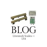 Blog LS4 Standard LIVESTOCK SCALE