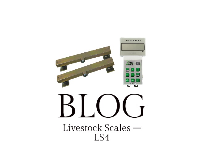 Blog LS4 Standard LIVESTOCK SCALE