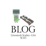 Blog LS4 Wifi LIVESTOCK SCALE