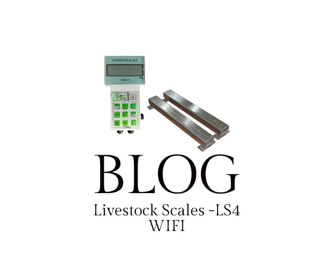 Blog LS4 Wifi LIVESTOCK SCALE