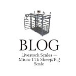 Blog T7E LIVESTOCK SCALE