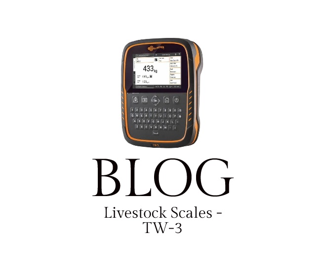 Blog TW3 LIVESTOCK SCALE