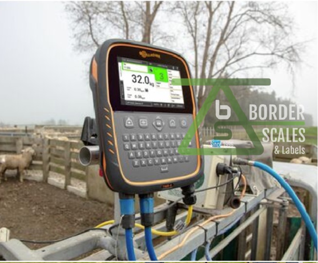 Livestock Scale -Gallagher - TW-5
