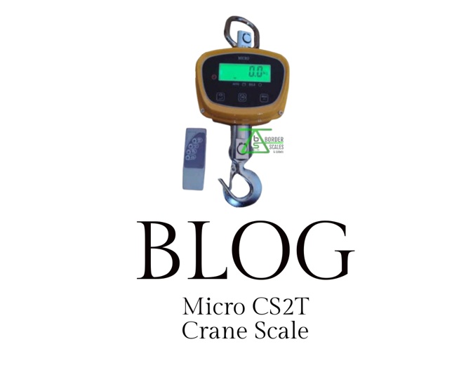 Micro CS2T Crane Scale