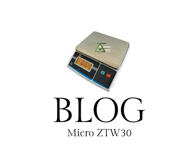 Micro ZTW30