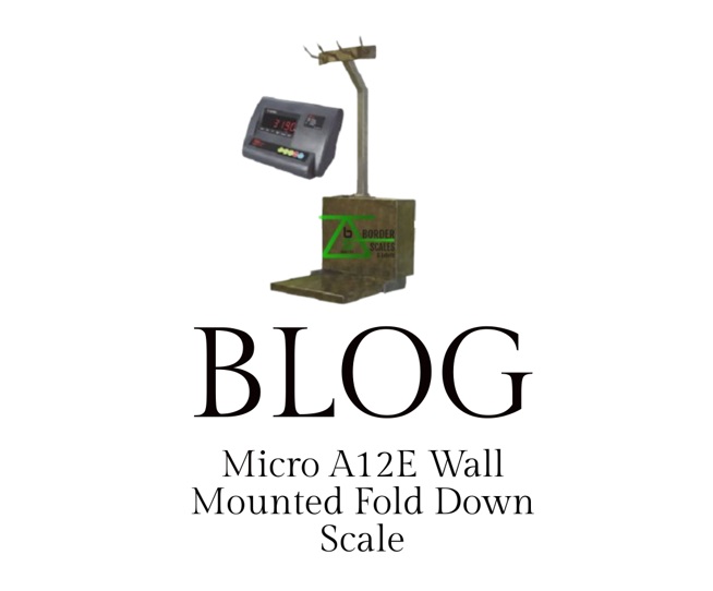 Micro A12E Wall Mounted Fold Down Scale